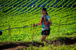 BIB: 230
                            <button type="button" onclick="openModal(19160358)" class="btn btn-primary btn-sm float-right btn-popup" data-toggle="modal" data-target=".modal-high-quality">
                        <i class="fas fa-shopping-cart"></i> Add to Cart
                    </button>
                                            <button type="button" onclick="isThisMe(19160358, true)" class="btn btn-success btn-sm float-right btn-popup btn-isme hidden" data-toggle="tooltip" data-placement="bottom" title="นี่คือรูปของคุณใช่ไหม คลิกที่นี่เพื่อเอาเข้าอัลบั้ม">
                        <i class="fas fa-plus"></i> Add to album
                    </button>
                    <button type="button" onclick="isThisMe(19160358, false)" class="btn btn-warning btn-sm float-right btn-popup btn-isnotme hidden">
                        <i class="fas fa-ban"></i> Remove from album
                    </button>